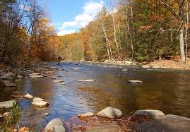 The hidden beach at poe valley state park in pennsylvania will make you feel a million miles away from it all. Penns Creek Pennsylvania