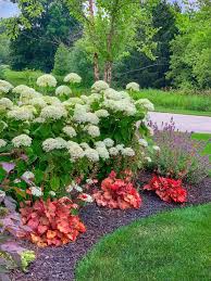 Designing A Garden For Non Stop Color Plaids And Poppies Planting Flowers Early Spring Flowers Asclepias Tuberosa