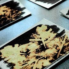 Leaves Printed With Bleach Leaf Prints Bleach Art Prints