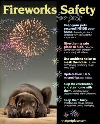 Kate Drummond On Twitter Firework Safety Dogs And Fireworks Good Doggies Online
