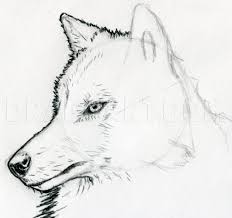 In the white hair just suggest a few hairs. How To Sketch A Wolf Arctic Wolf Step By Step Drawing Guide By Finalprodigy Dragoart Com