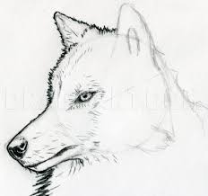 Wolves have been cartoon staples since the early days of following this tutorial, you'll soon have a wolfish friend of your very own. How To Sketch A Wolf Arctic Wolf Step By Step Drawing Guide By Finalprodigy Dragoart Com