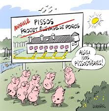 Photo Landes : oiseaux moulin et municipales dans nos chos satiriques