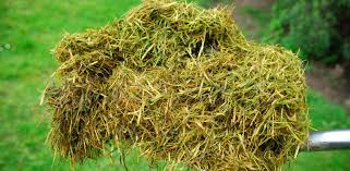 Ou trouver du paillage gratuit. Ye6igzzn0twn M