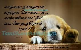 Kadhal Parisu Kanneer Matumae Kadhal Tholvi Love Failure Veruppu Very Sad Quotes Tamil Lines Sana Husband Wife