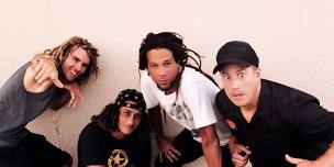 Predator Dub Assassins