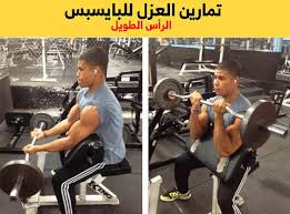 تمارين البايسبس Biceps Workout Workout Biceps