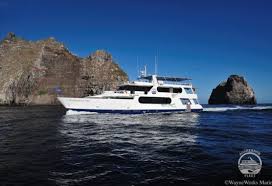 Galapagos Liveaboards Https Www Divingsquad Com