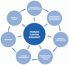 Human Capital Management Guru Human Resource Management Management Human Resources