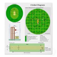 Cricket Position Field Pitch And Wicket Diagram Poster Zazzle Com Wicket Cricket Wicket Cricket