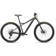 Image result for Orbea knobelii
