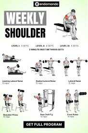 Image result for Shoulder Strength Exercises