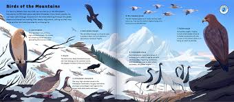 The World Of Birds On Behance