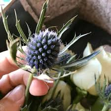 Same day delivery · from $19.99 · 20% off all items Nightmare Before Christmas Roses From Roseshire Are To Die For Chip And Company