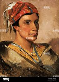 Wasas hi-res stock photography and images