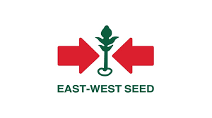 Modern, şık ve fonksiyonel özelliklere sahip dekorasyon, tamamlayıcı mobilya ve ev yaşam ürünleri uygun fiyat avantajı, ücretsiz iade ve taksit seçenekleriyle evidea'da! Warehouse Supervisor Pt East West Seed Indonesia It Perangkat Lunak