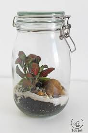 Terrarium Jardin De Verre Pour Deco Interieure Fitonia Mousse Bocal Mini Plant Terrarium Garden Centerpiece Cactus Terrarium