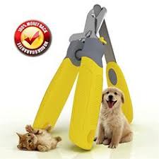 Their sharp tips can wreak havoc on your clothes and soft furnishings, and make that affectionate kneading which many cats enjoy an absolute nightmare. 11 Best Dog Nail Clippers With Quick Sensor Ideas Dog Nails Dog Nail Clippers Nail Clippers