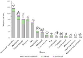Image result for Macledium poggei