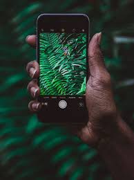 Photo Of Someone Holding A Mobile Phone Photographing A Fern Iphone Phone Iphone 8 Plus