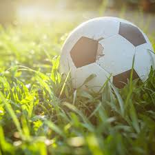 D'autres aspects à prendre en compte. Terrain De Foot Comment En Amenager Un Dans Son Jardin