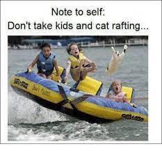Work memes for everyone in the struggle. Note To Self Don T Take Kids And Cat Rafting Meme On Me Me