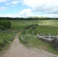 Votre adresse de messagerie ne sera pas publiée. Aubrac Chemin De Saint Jacques I Love Walking In France