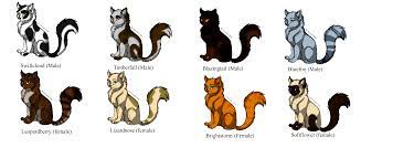 Warrior Suffixes Warrior Cat Names Names For Black Cats Warrior Cats Name Generator