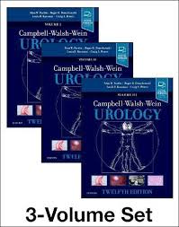 Endosonographic evaluation of perianal fistulas and abscesses: Campbell Walsh Wein Urology Ed 12 Por Partin Alan W 9780323546423 Journal