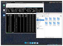 Image result for Computers Software Operating Systems Graphic Subsystems Desktop Environments Xfce