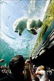 17 Most Beautiful Places To Visit In Ohio Columbus Zoo Beautiful Places To Visit Ohio Travel