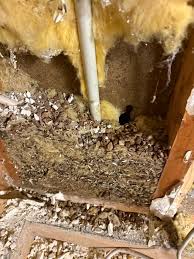 Image result for site:byggahus.se fuktproblem