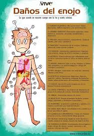 El Enojo Envejece E Inflama Tu Cuerpo Evitalo Vivecaribe Enfermedades Emocionales Enfermedades Y Emociones Consejos Para La Salud