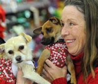 Chris Bouckaert's Instagram, Twitter & Facebook