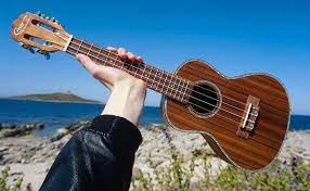 Beach christmas decorations uke tuning. Hricane Ukulele