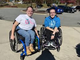 Image result for Disperis sp. nov. aff. bifida