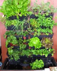 Pin By Tina Scrappy On For My Home Aquaponics Greenhouse Aquaponics System Aquaponic Gardening