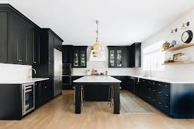 16 Kitchen Design Ideas for Black Cabinets | Lily Ann Cabinets
