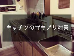 キッチンのゴキブリ侵入経路 シンク下の排水管もふさげるとこは全部ふさぐ シンク下 シンク リクシル キッチン as