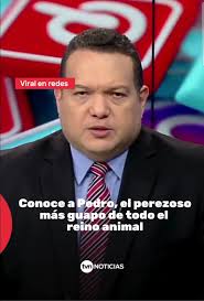 Perezoso En Lancha Audio Original