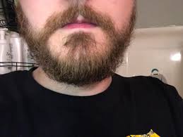 Is there any way to develop facial hair alot quicker ? I Start A More Professional Job Next Week And Don T Want To Shave My Beard Is Too Thin To Really Wear Shirt And Trimmed How Can I Smooth Out This Curly Mess