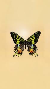Maybe you would like to learn more about one of these? 32 Aesthetic Butterfly Iphone Wallpaper Ryan Wallpaper