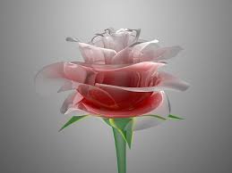 Glass Rose Glass Flowers Rose Wallpaper Glass Sculpture