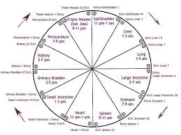 Body Clock Traditional Chinese Medicine Five Elements
