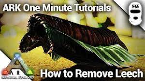 See full list on ark.fandom.com How To Remove A Leech In Solo Ark Survival Evolved One Minute Tutorial Youtube