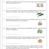 More lessons for grade 1 common core for grade 1. 1