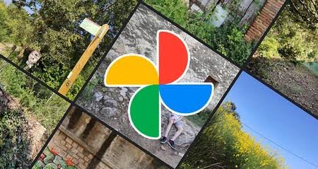 Cómo usar el editor rápido de Google Fotos para mejorar tus fotografías de  forma sencilla