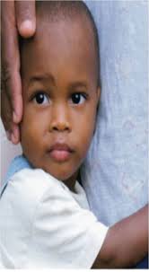 LCA Timeline 2024.pub