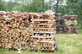 The german method, end pillar wood stack, firewood stacked in a circle, stacking wood with a rack, and the shaker. Stackology The Art And Science Of Stacking Firewood Woodland Info