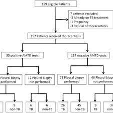 Patient Flow Chart For Diagnosis Of Pleural Effusion